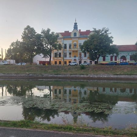 Apartament Pe Malul Raului Bega Timisoara Exterior photo