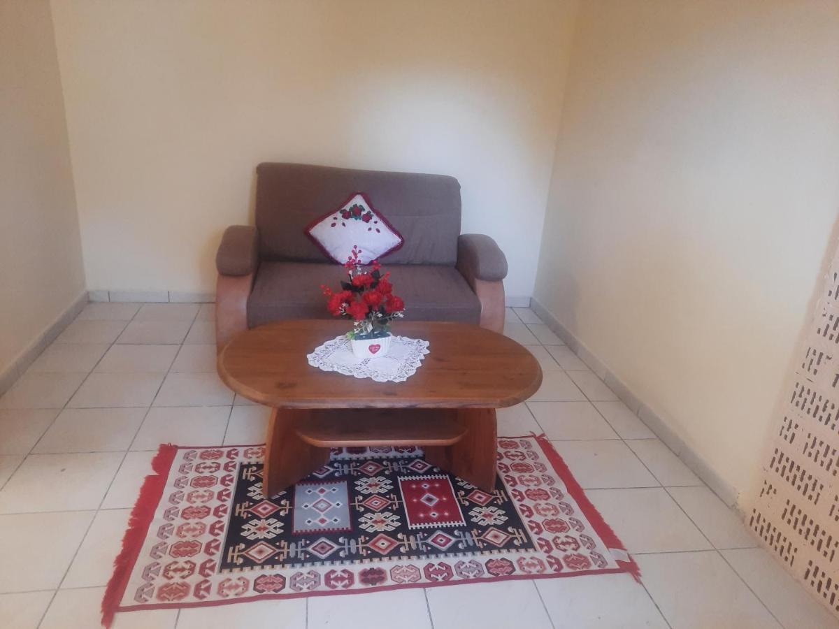 Apartament Pe Malul Raului Bega Timisoara Exterior photo
