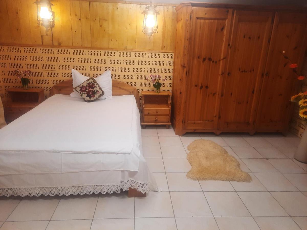 Apartament Pe Malul Raului Bega Timisoara Exterior photo
